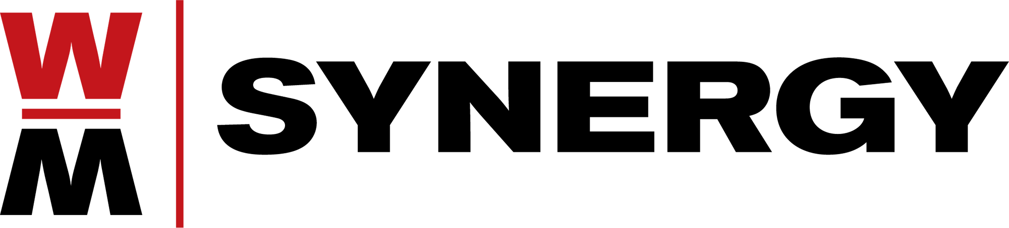 WM Synergy